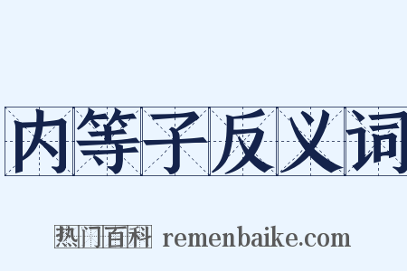 内等子反义词是什么意思的图片